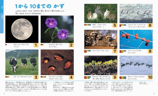 かず・かたちの図鑑(小学館の子ども図鑑 プレNEO) | 黒澤 俊二 | 8件の