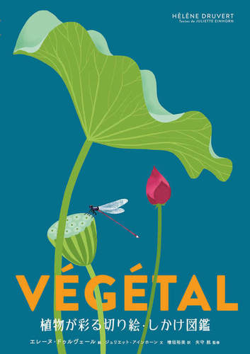 植物が彩る切り絵・しかけ図鑑 | 矢守 航,ジュリエット・アインホーン