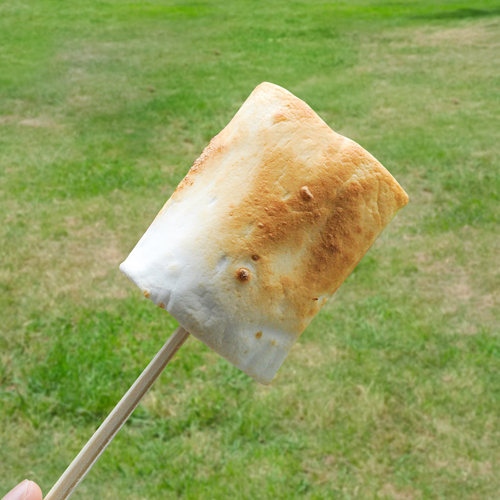 キャンパーズマシュマロ - マシュマロ情報サイト エイワのマシュマロ