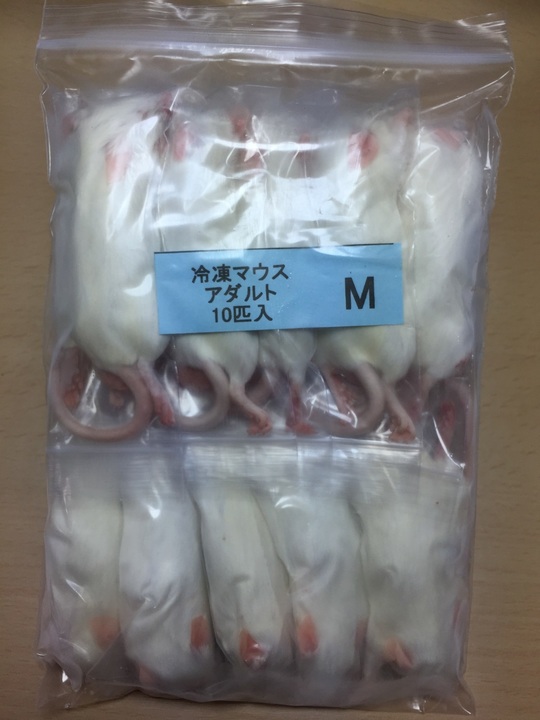 アダルトM - esa屋 - 猛禽類・爬虫類・肉食魚の餌用国産冷凍マウス通販