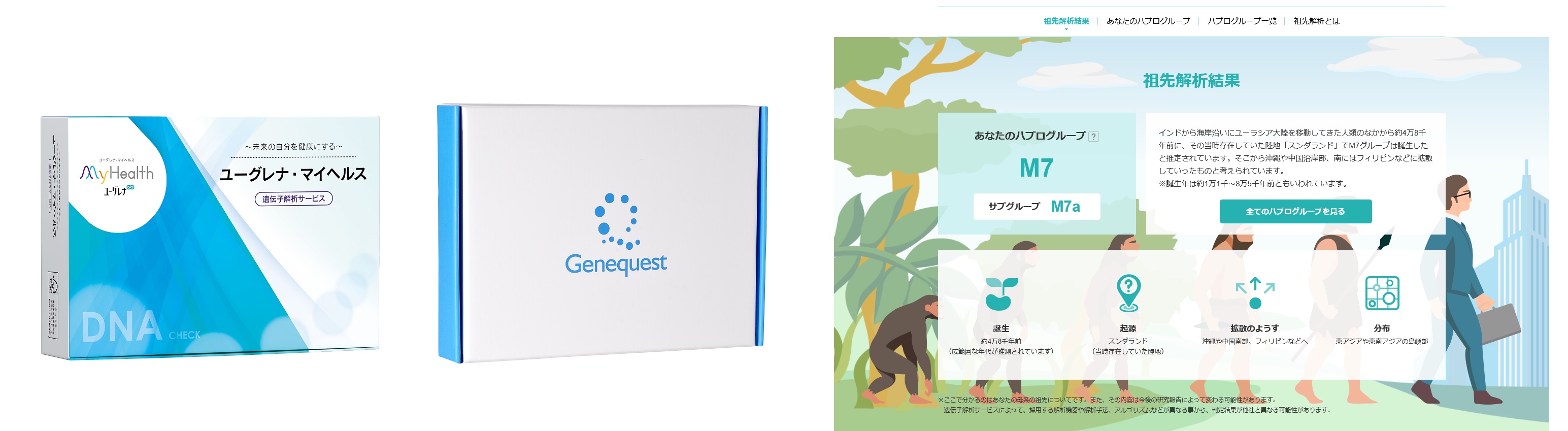 遺伝子解析サービスの「祖先解析」をリニューアル | 株式会社ユーグレナ