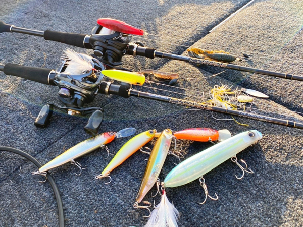 EVERGREEN（エバーグリーン インターナショナル） – フェイズ PCSC