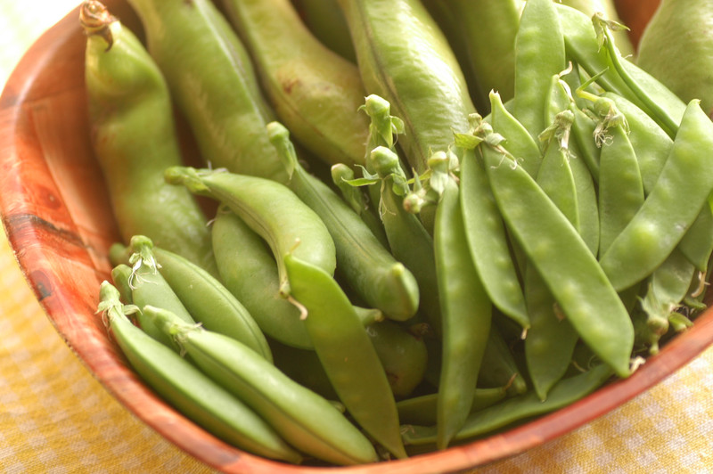 三月豆の『お豆のチカラ』 | 鎌倉まめヴィアージュ - Fm yokohama 84.7