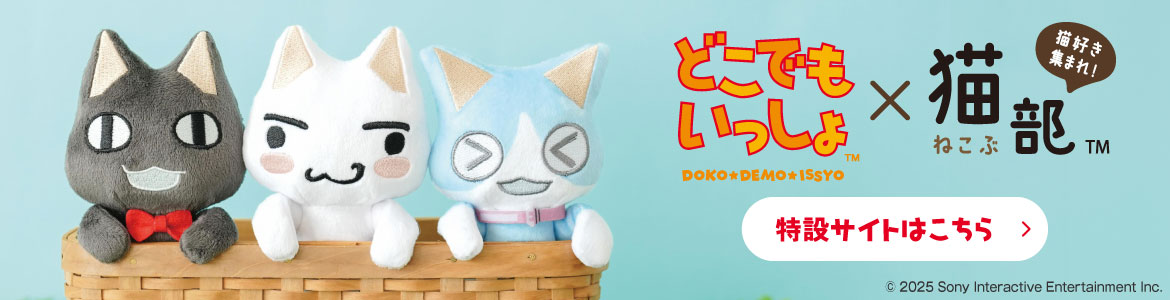 どこでもいっしょ×猫部 トロたちのもちもちクッションの会｜猫部