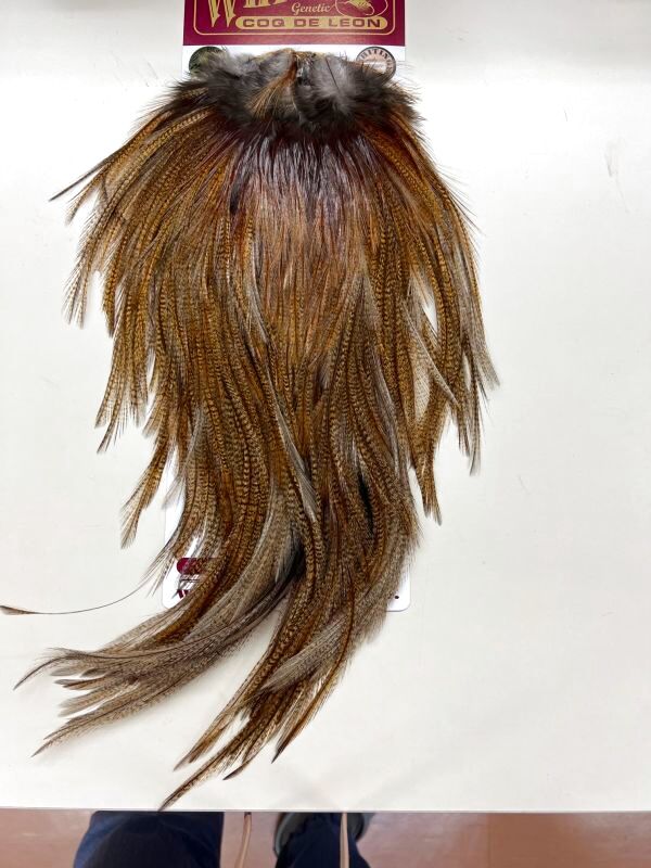 コックデレオンルースターサドル