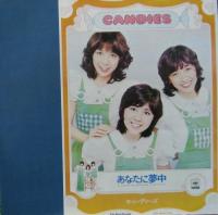 キャンディーズ - ザ・ベスト 微笑がえし 38AH-496/中古CD・レコード