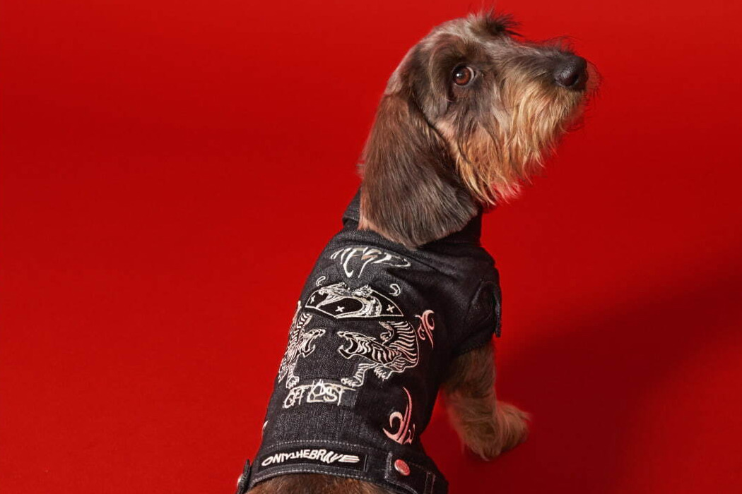 ディーゼル“初”ドッグウェア、パッチワーク付きデニムジャケットや