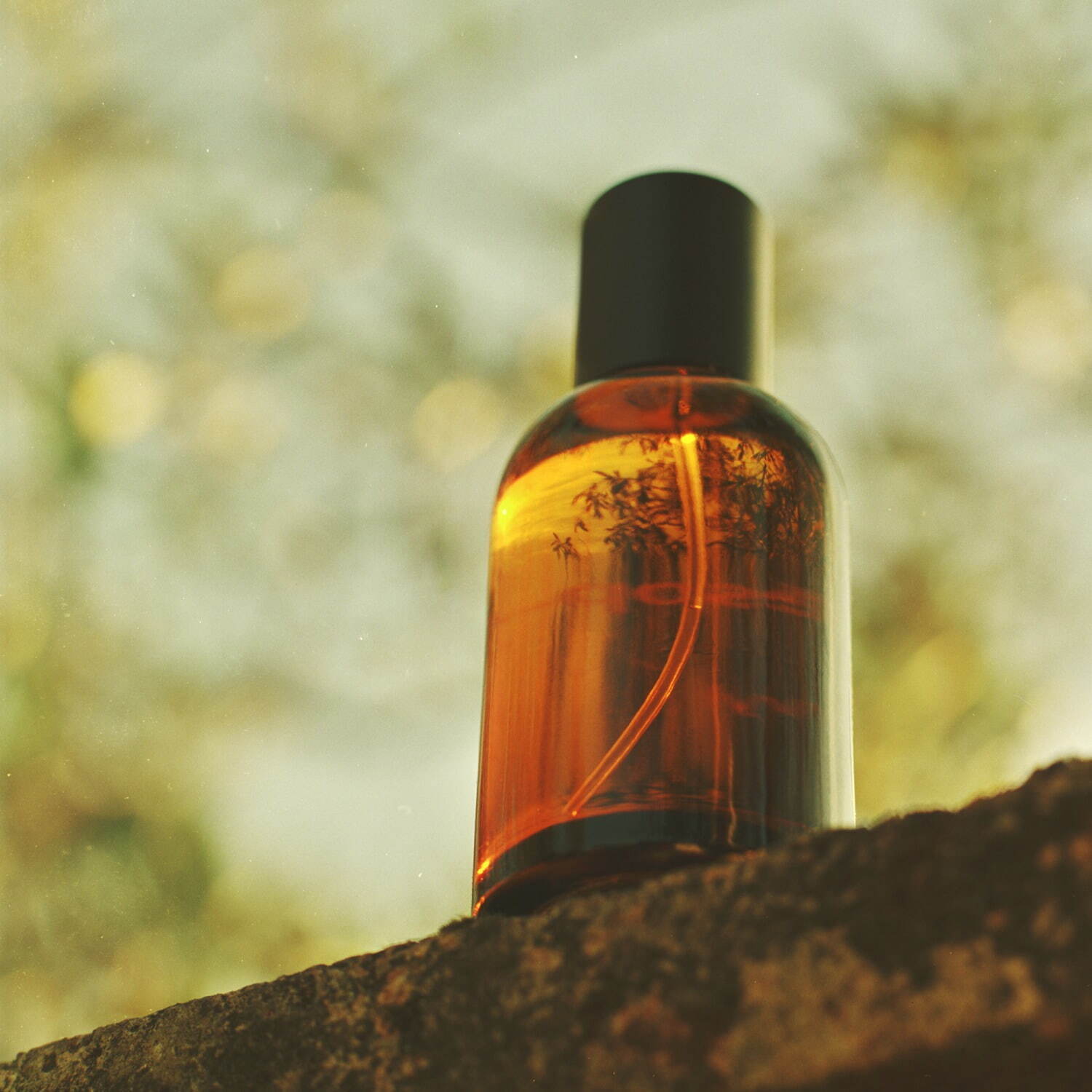 イソップ24年秋香水「ヴィレーレ」“柑橘×イチジク×グリーンティー”の