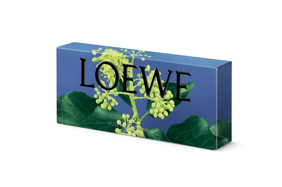 ロエベのバス・ボディコレクションに新たな香り「アイビー」が追加