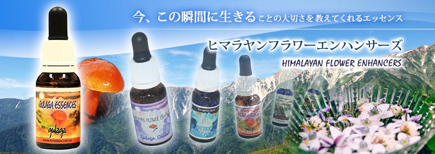 ヒマラヤンエンハンサーズ,チャクラキット｜フラワーレメディ【公式】