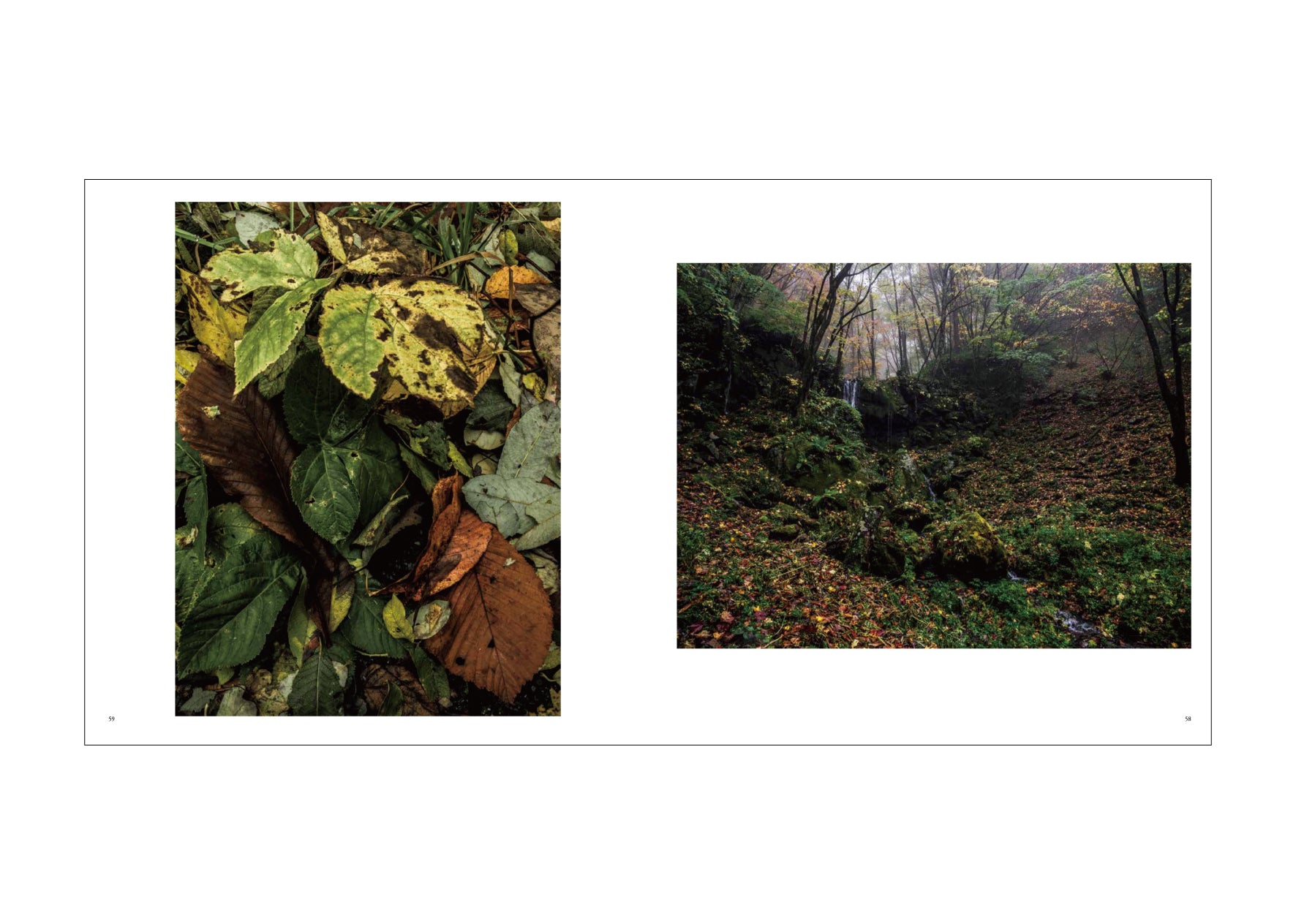 Dear Silence-静寂の森- – Takumichi Seo Fine Art Place