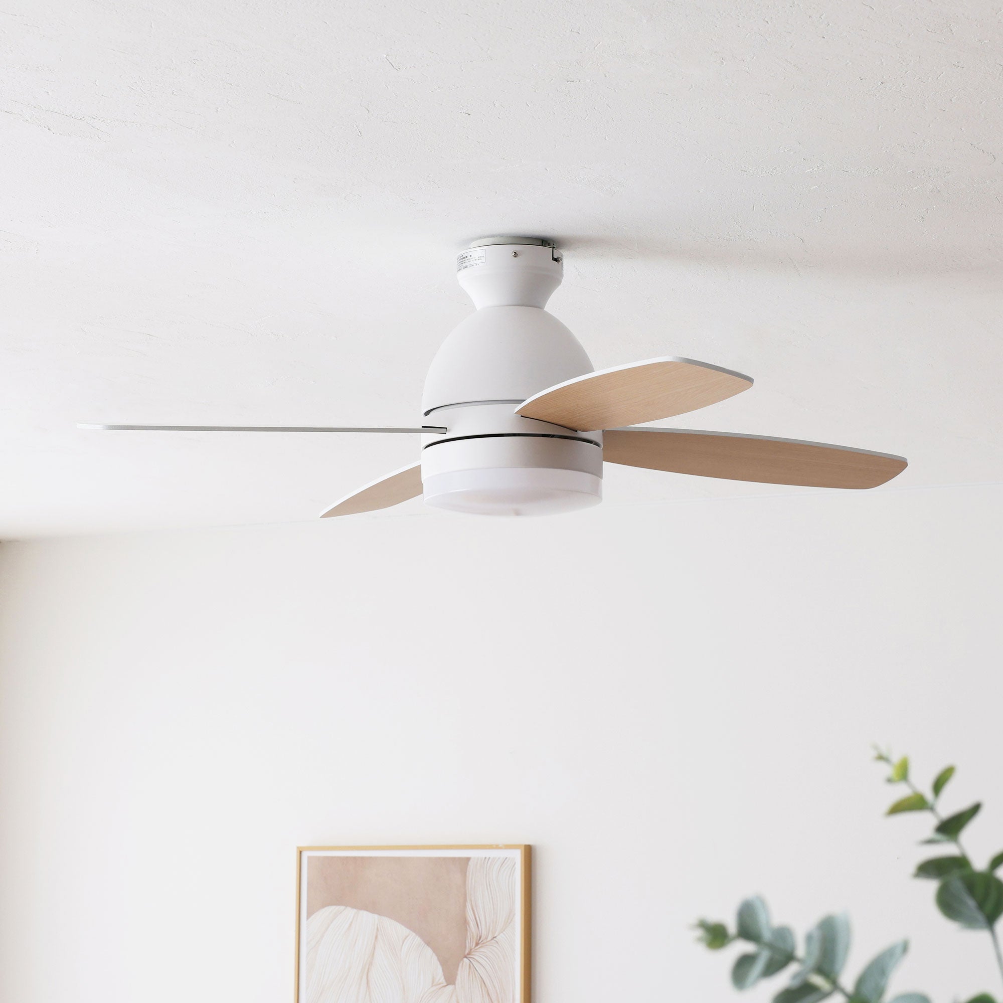 あす着] シーリングファンライト 傾斜天井対応 LED リモコン付 DC