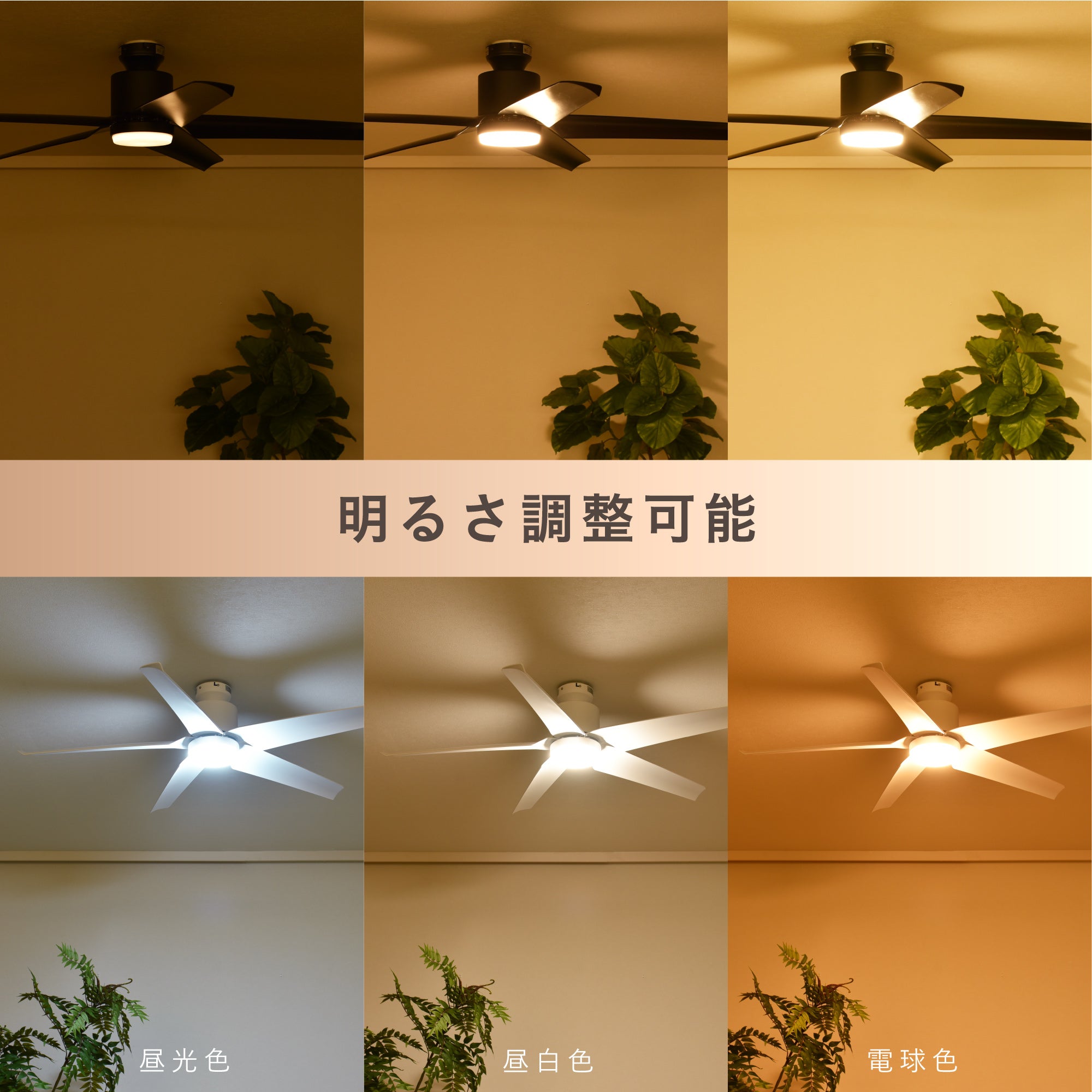 あす着] シーリングファンライト 傾斜天井対応 リモコン付 DCモーター