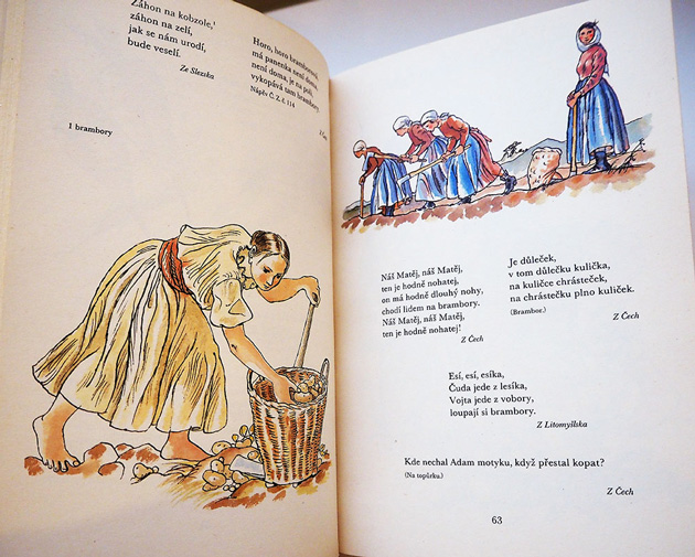 Cesky rok Podzim / チェコ絵本のフィネサ・ブックス