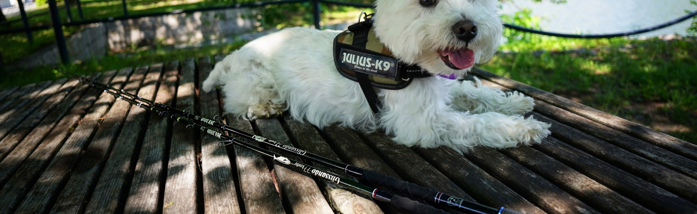 Glissando konbe シリーズ – Fish.IN | Outdoor / Fishing / Something