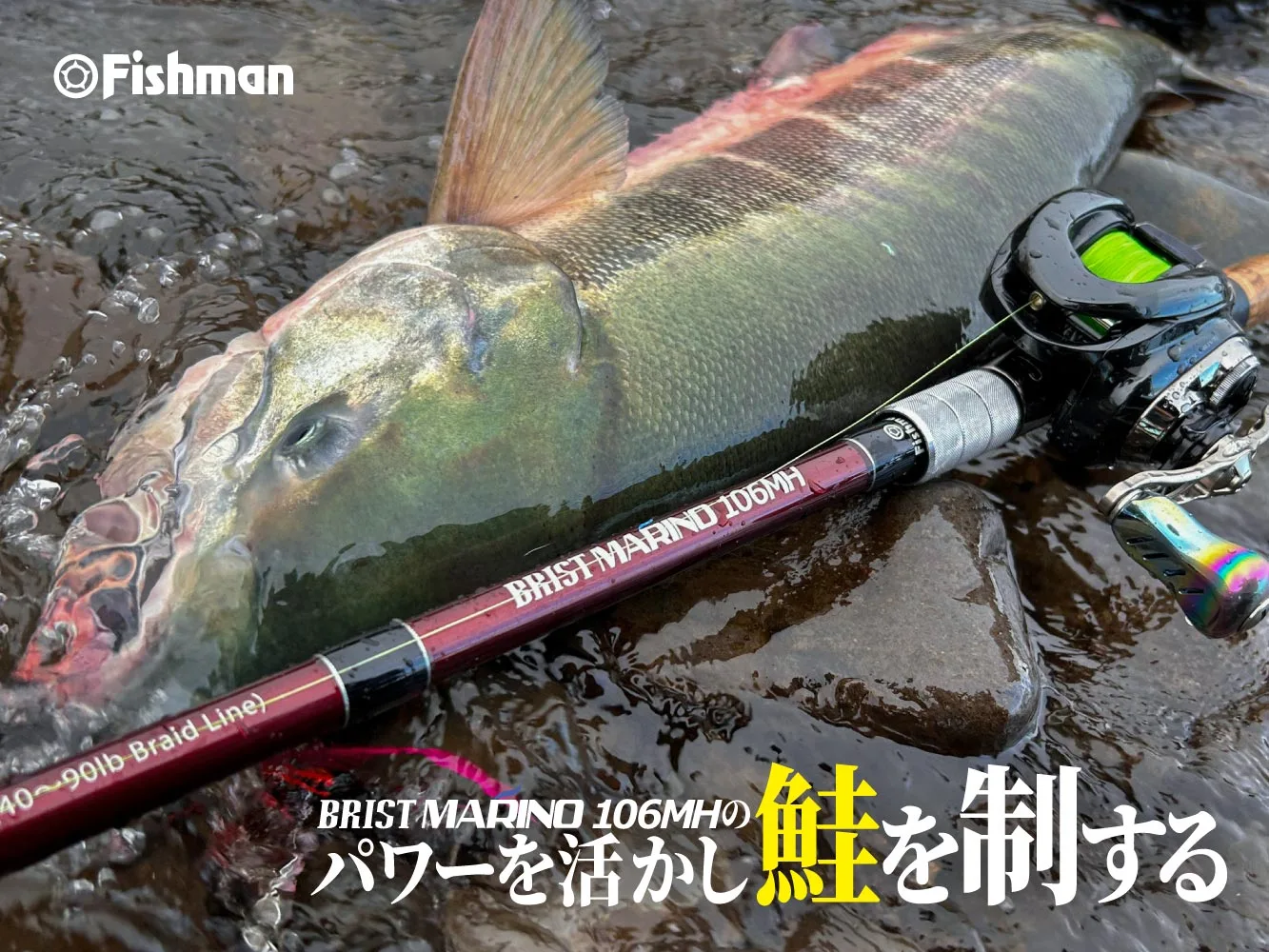 BRIST MARINO10.6MH アーカイブ - Fishman（フィッシュマン）