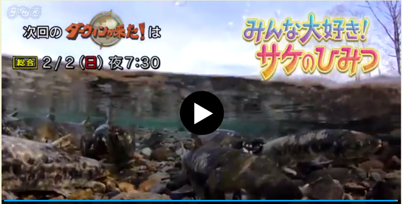 生態系変動解析分野 | FSC - 海から山まで網羅する16研究施設を統合