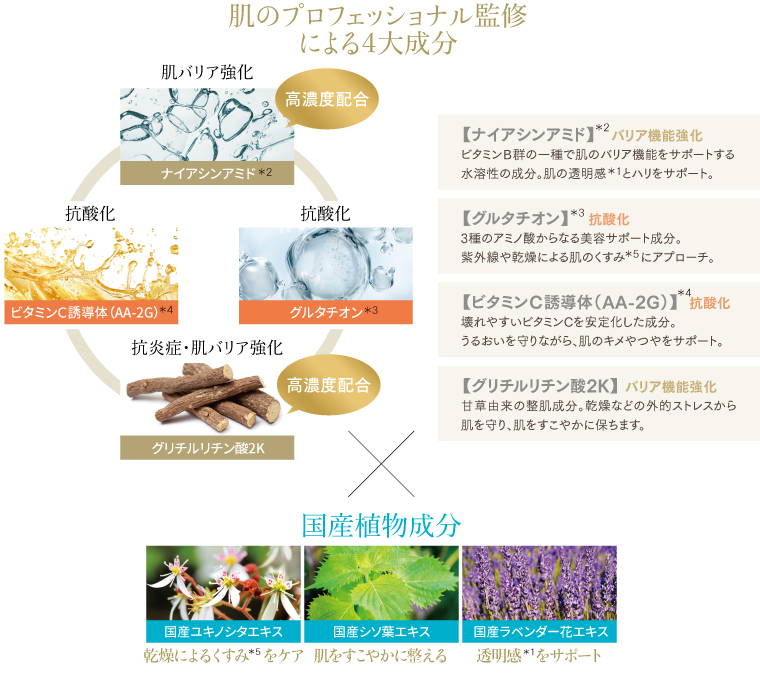 FTCザ・ブライトチャージ ローション/100mL | FTCオンラインショップ