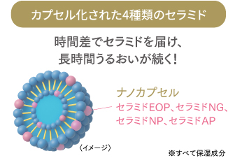 FTCザ・ブライトチャージ ローション【100mL】/レフィル | FTC