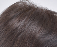 ヘアボーテ エクラ ボタニカルエアカラーフォームEX ナチュラル