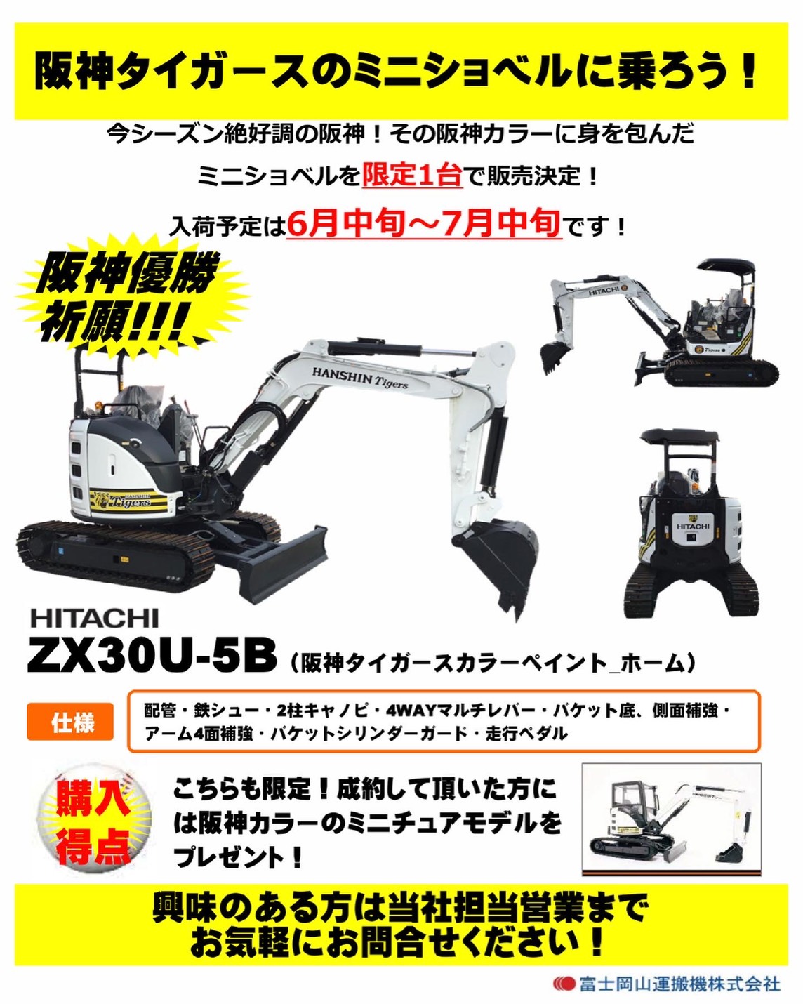 阪神タイガースカラーペイント(ホーム)◇ZX30U-5B◇限定1名様◇プロ