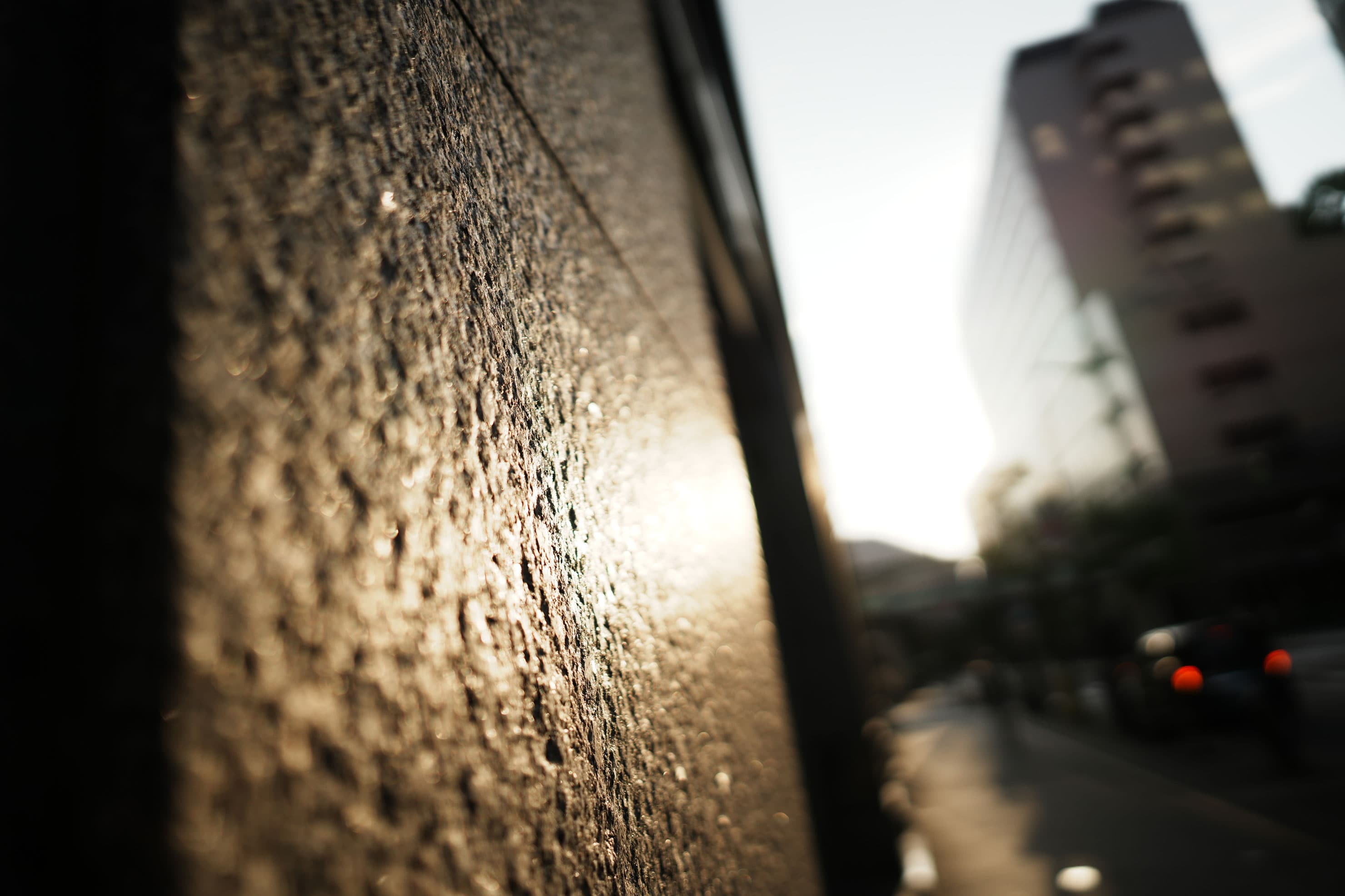 SIGMA(シグマ) 24mm F1.4 DG DN | Art 実写レビュー