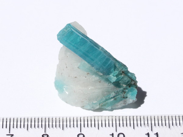 パライバトルマリン原石 - ガリンポ