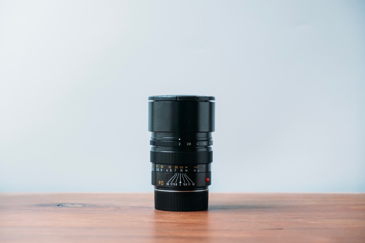 作例】Summicron 90mm F2 3rdレビュー。抜群の解像力で被写体を繊細に