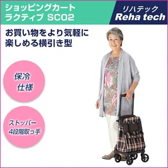 フランスベッド リハテック シルバーカー ラクティブ モデルD(しま柄