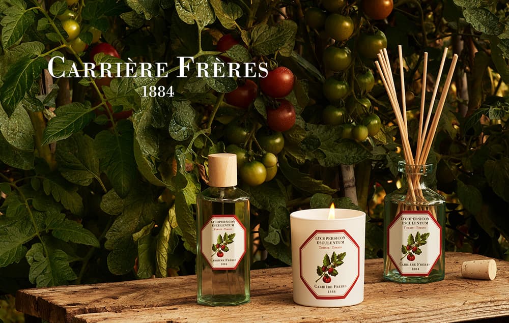 francjour フランジュール ｜ Carriere Freres フレグランスキャンドル