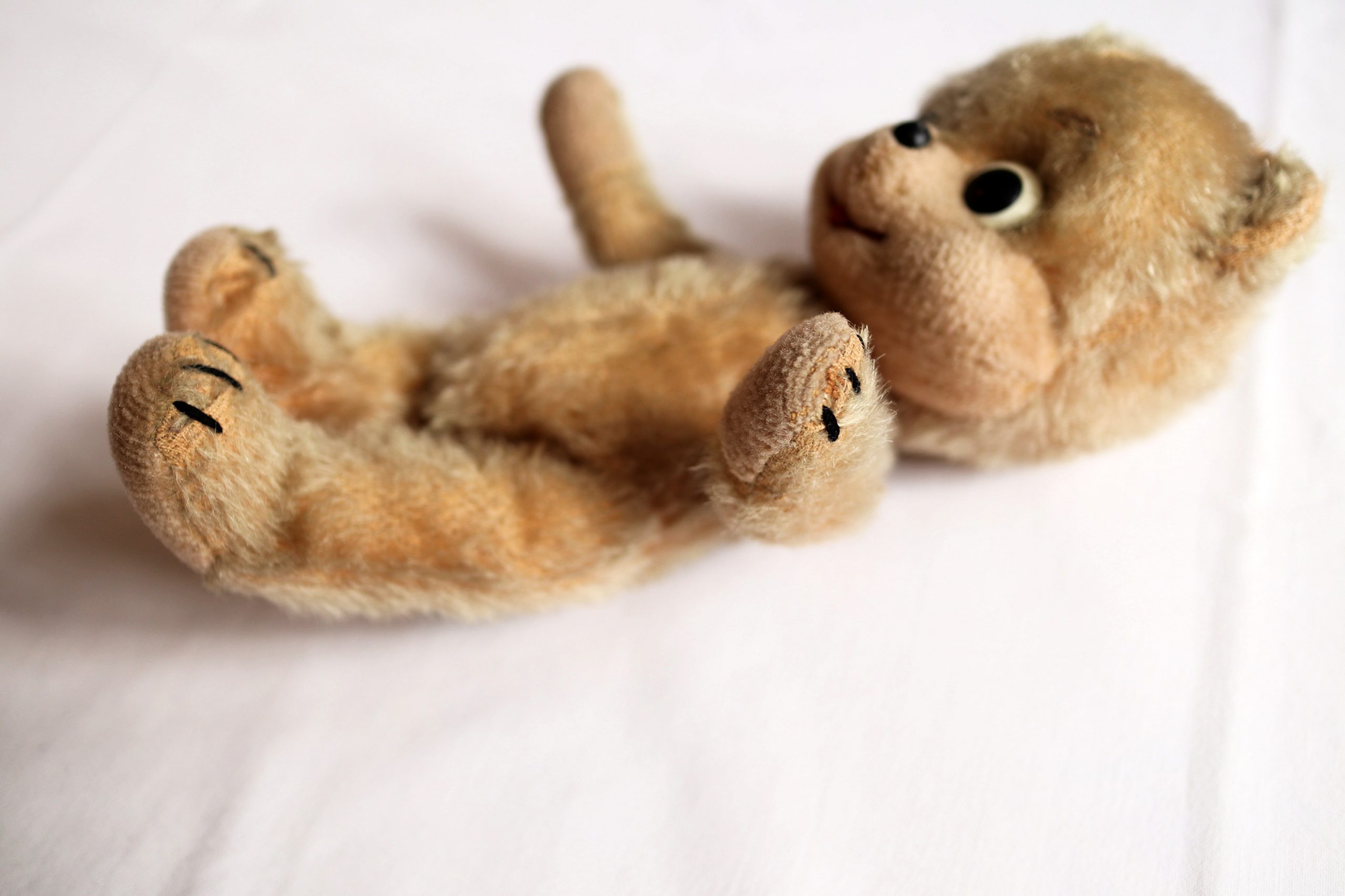 Schuco ヴィンテージテディベア Puzzi Bigo Bello | Frau Vintage