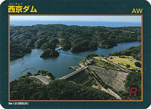 46鹿児島県 | 数奇なカードコレクター