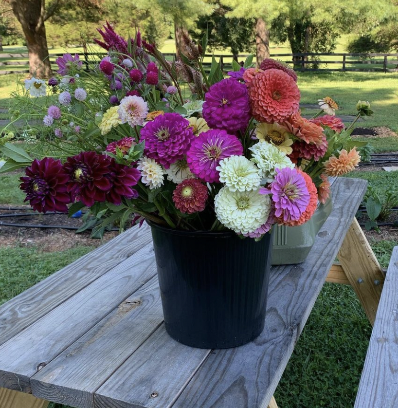 Cedar Hill Blooms – FRESHFARM