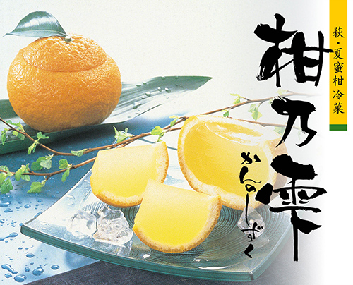 たけなか 柑乃雫（かんのしずく） 洋菓子 | G-Callショッピング