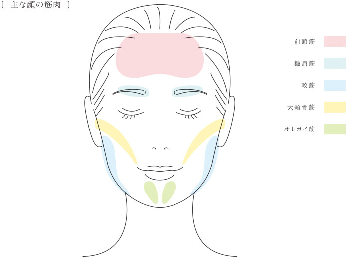 ReFa RHYTHM リファリズム | G-Callショッピング