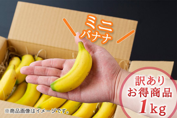 宮崎県産無農薬バナナ NEXT716 | G-Callショッピング