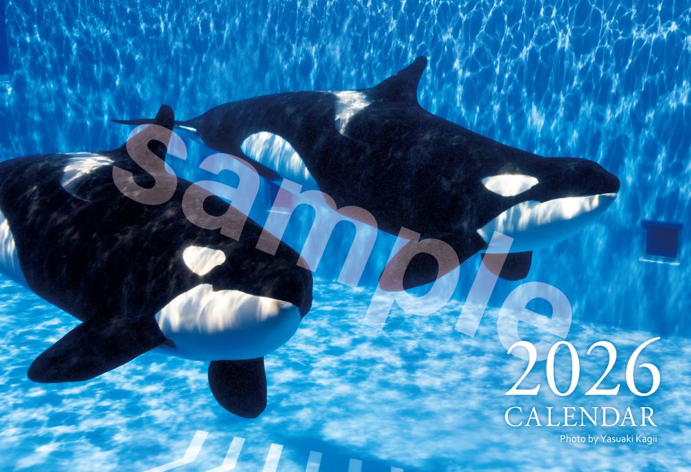 2026 年オリジナルカレンダー」の販売が決定｜お知らせ｜神戸須磨シー
