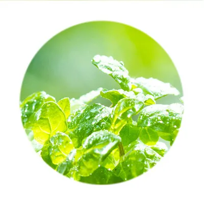 定期お届け】二十四種香 1～12月 （毎月1種類）サブスク - お香専門店香源