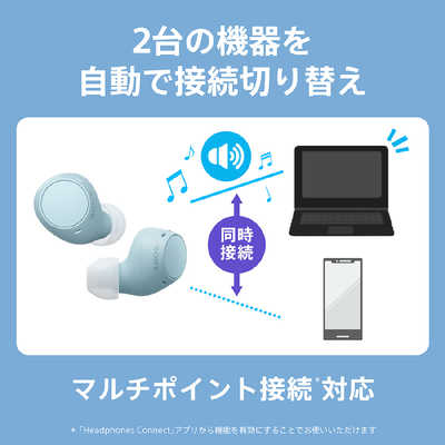 ソニー SONY フルワイヤレスイヤホン [ ワイヤレス ( 左右分離