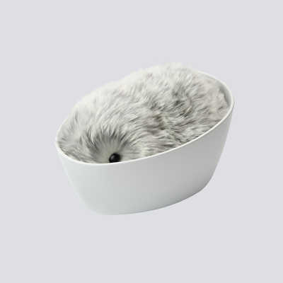 カシオ CASIO 手のりサイズ AIペット(コミュニケーションロボット