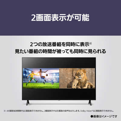 パナソニック Panasonic 【アウトレット】液晶テレビ VIERA ビエラ