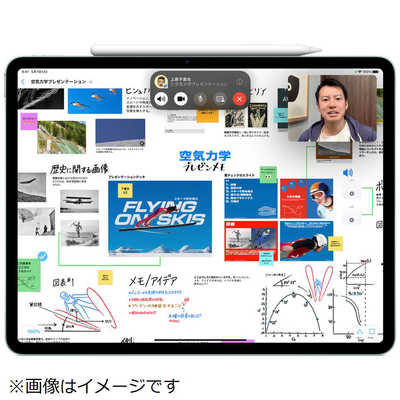 アップル Apple Pencil Pro【13インチ/11インチ iPad Pro(M4)・13