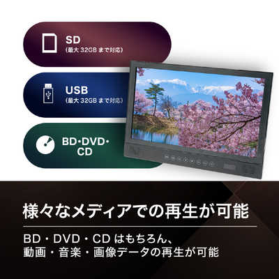 高橋国際商事 BLUEWIDE 14インチ ポータブル ブルーレイプレーヤー