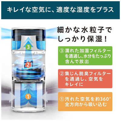 アイリスオーヤマ IRIS OHYAMA 加湿空気清浄機 10畳まで KAPSH201W の