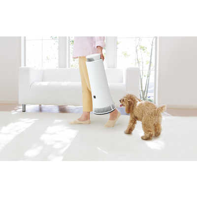 シャープ SHARP プラズマクラスター搭載 除菌脱臭機 空気清浄:15畳まで