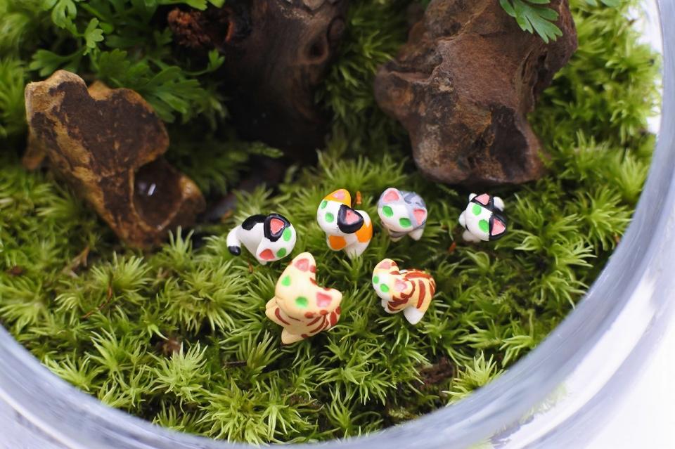 コケリウムフィギュア チビ猫 茶トラ｜苔（コケ）のインテリア
