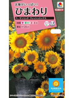 ヒマワリ種子 サンリッチフレッシュミックス の通販 | ホームセンター