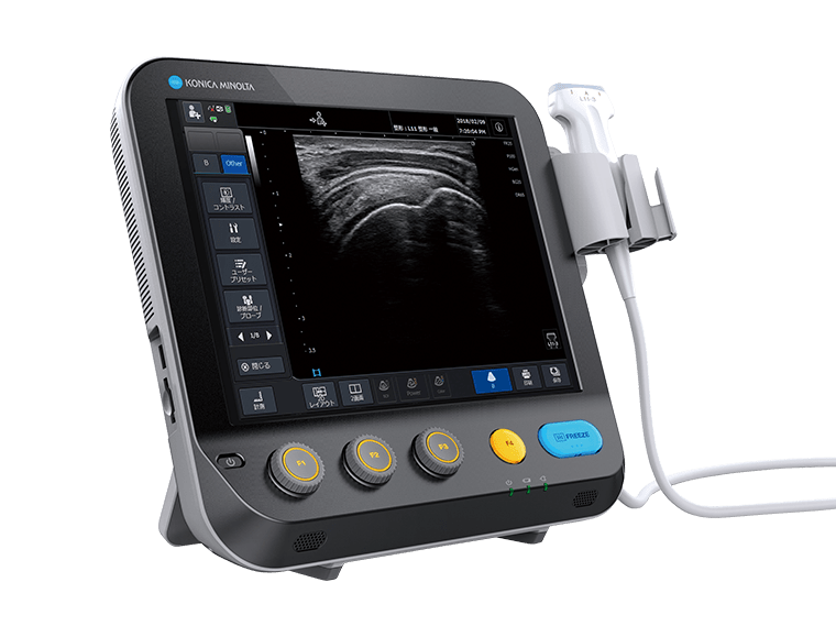 先進運動器エコーフォーラム2022 痛みのメカニズムを末梢神経考える Up