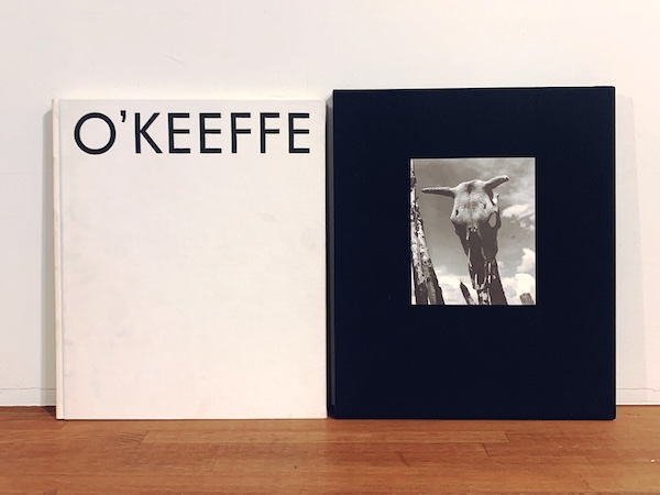ジョージア・オキーフ Georgia O'Keeffe: The Artist's Landscape