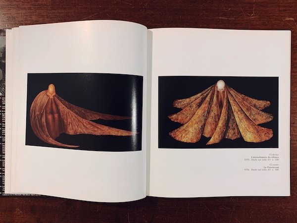 レオノール・フィニ Parcours dans l'oeuvre de LEONOR FINI ｜ 1989